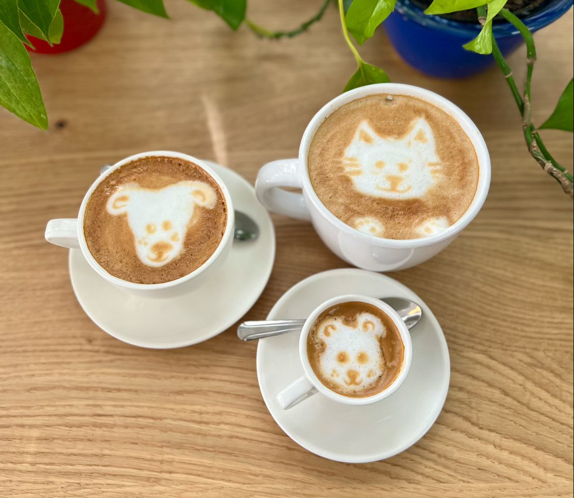 Café Crème - Oltorf-3